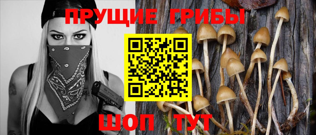 Сочи  Псилоцибиновые грибы ЛСД  Вход с VPN  Галлюциногенные грибы Magic Shrooms 